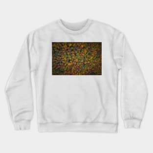 Aerial top down view of vibrant colorful autumn forest Crewneck Sweatshirt